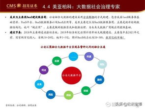 202X年互联网信息安全行业发展趋势专题报告 互联网安全服务的崛起与进化